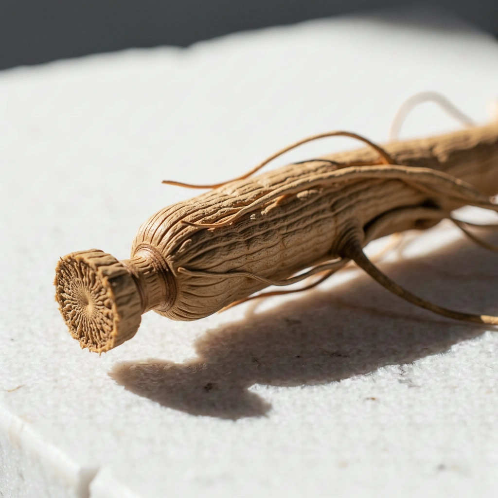 Ginseng root concentrate